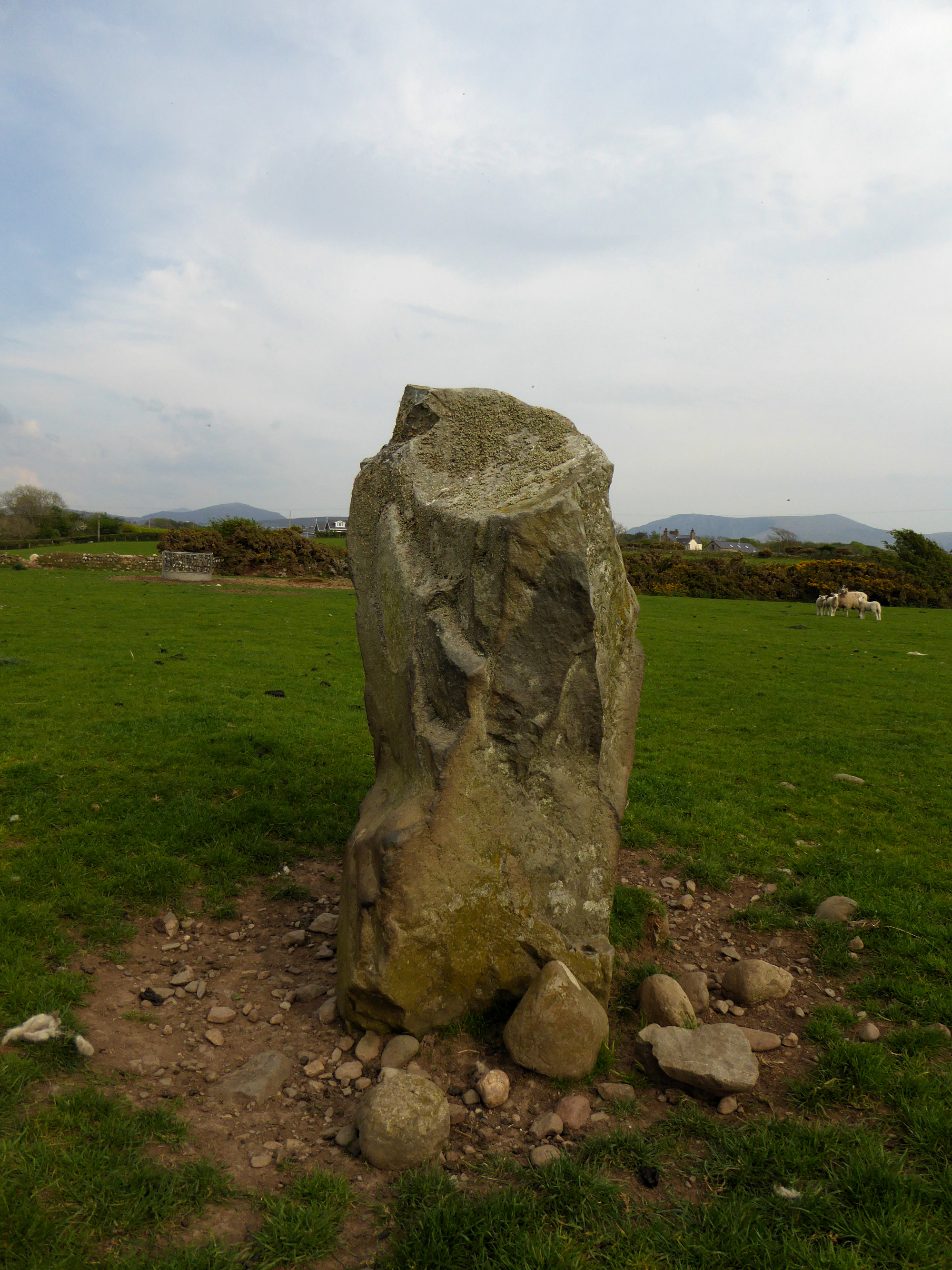 Image of Bodfan Menhir by thesweetcheat