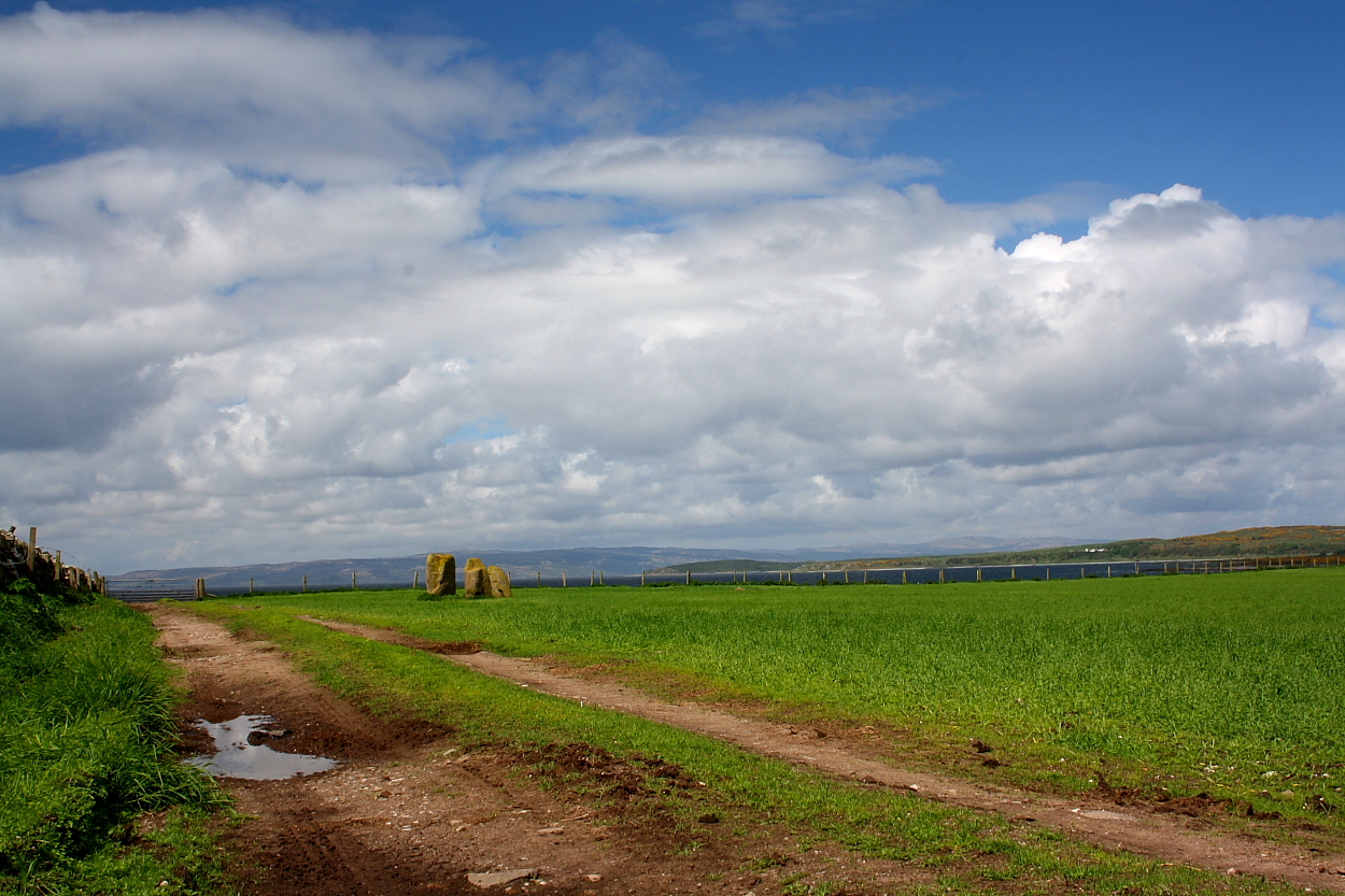 Image of Largizean (Stone Row / Alignment) by GLADMAN