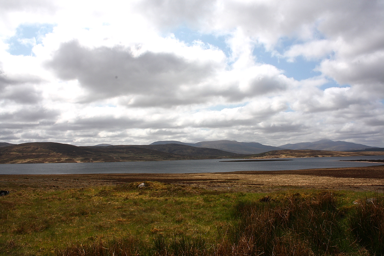 Image of Cnoc Molach, Badanloch Forest (Stone Row / Alignment) by GLADMAN