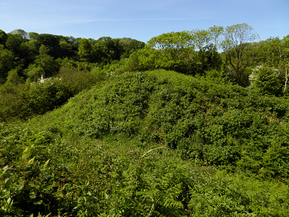 Image of Bishopston Valley (Promontory Fort) by thesweetcheat