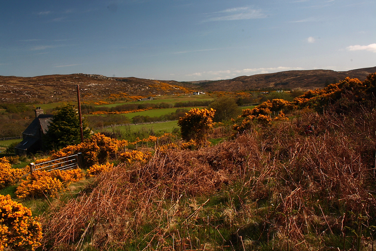 Image of Borgie (Chambered Cairn) by GLADMAN