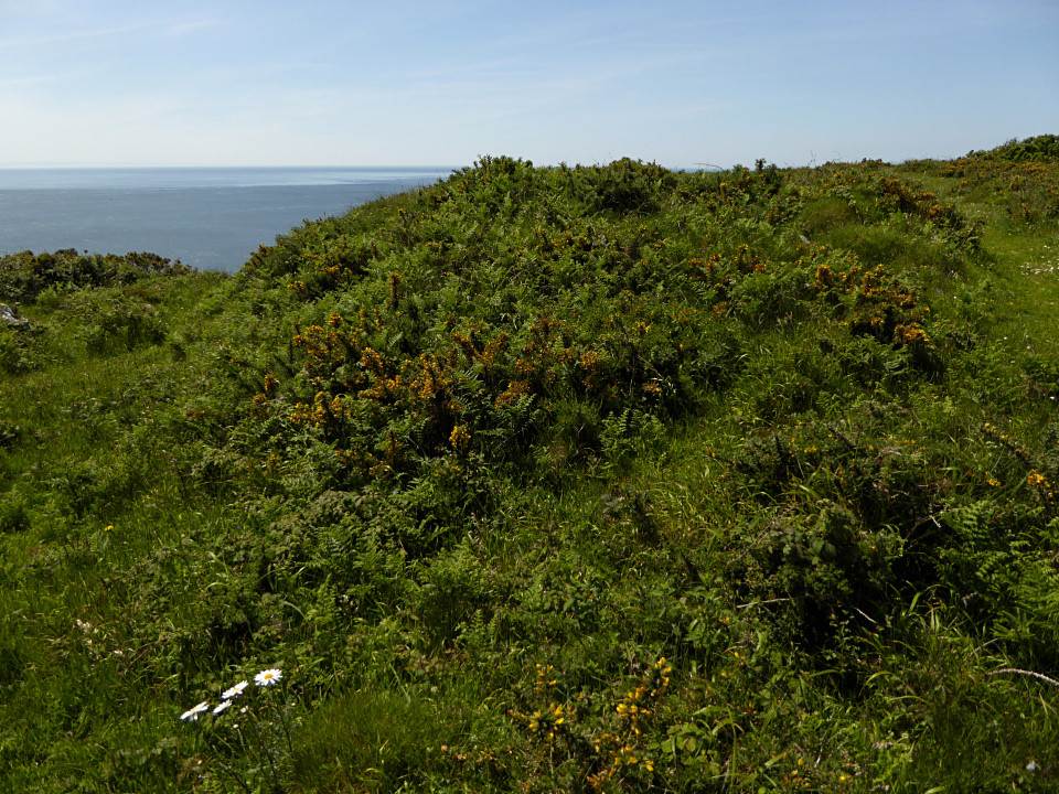 Image of High Pennard (Promontory Fort) by thesweetcheat
