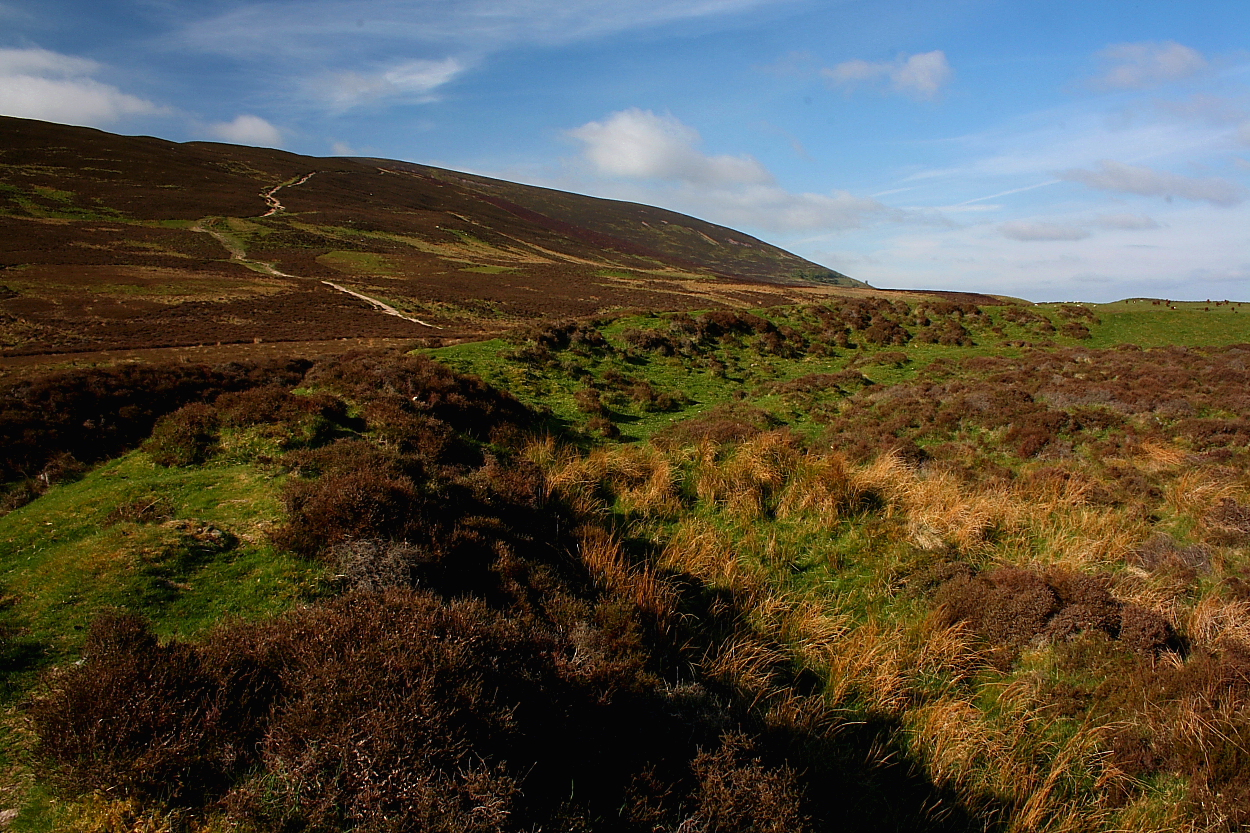 Image of Fallburn (Hillfort) by GLADMAN