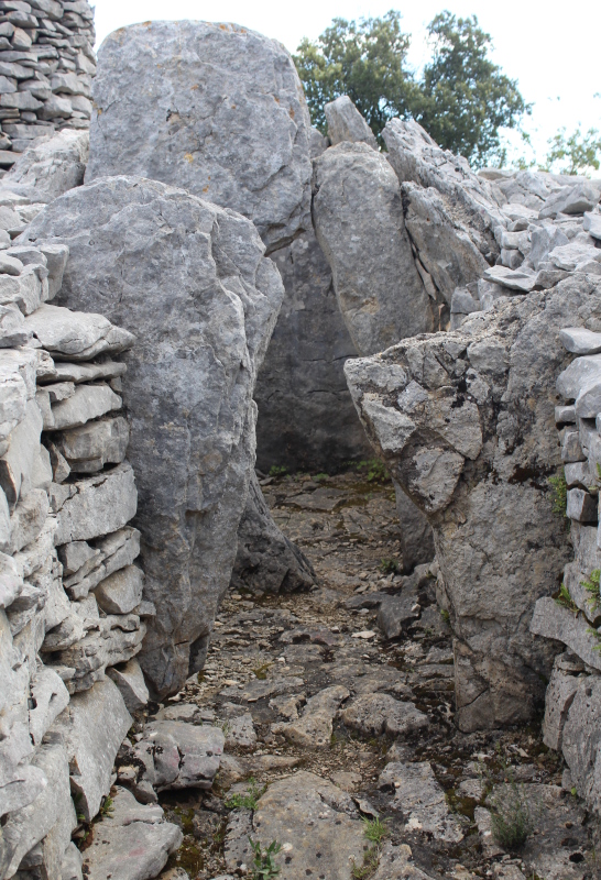 Image of Dolmen Feuilles by tiompan
