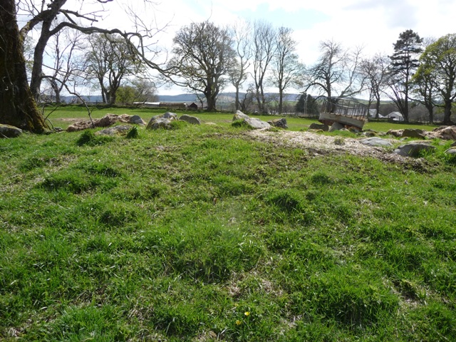 Image of Leith Hall Policies (Artificial Mound) by drewbhoy