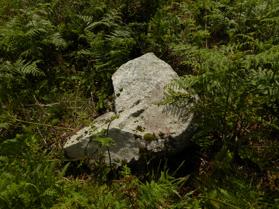 Image of Tregonning Hill (Kerbed Cairn) by thesweetcheat