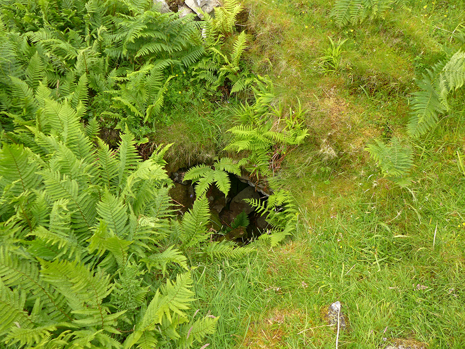 Image of Struidh (Enclosure) by thelonious