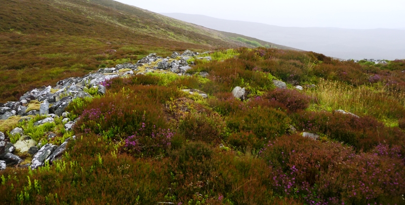 Image of Tom a Chaisteil (Hillfort) by drewbhoy