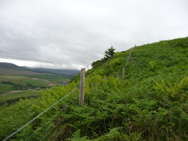 Image of Dun Davie (Hillfort) by drewbhoy