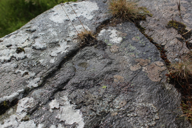 Image of Coire Thaochaidh (Cup and Ring Marks / Rock Art) by tiompan