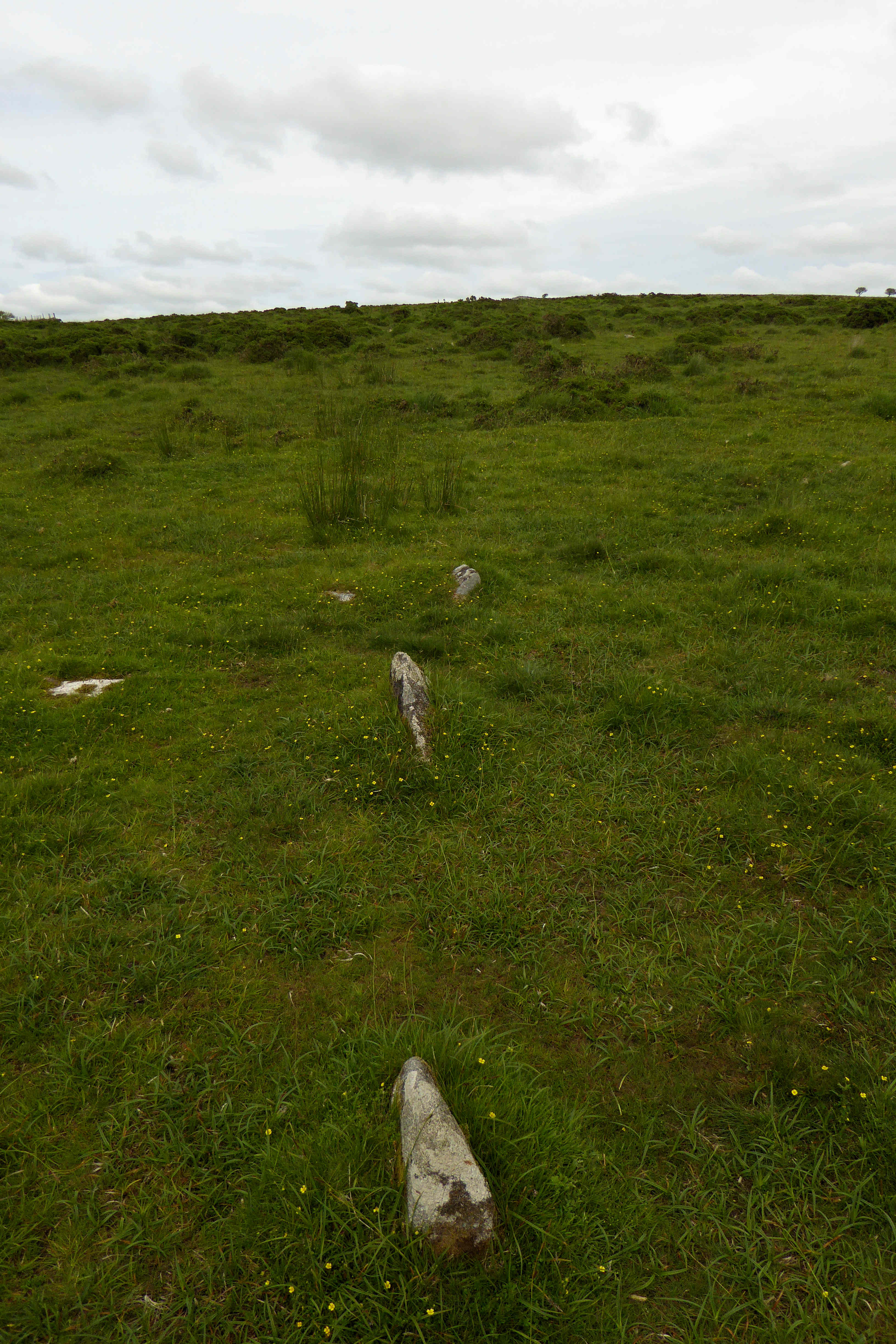 Image of Craddock Moor Stone Row by thesweetcheat