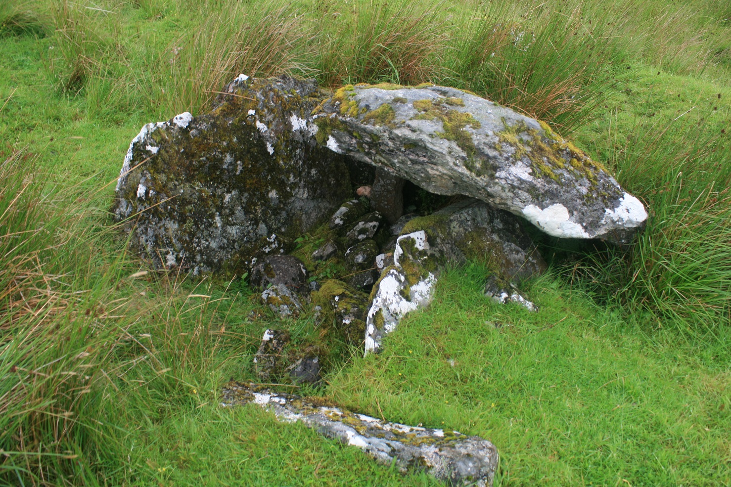 Image of Balvraid (Chambered Cairn) by postman