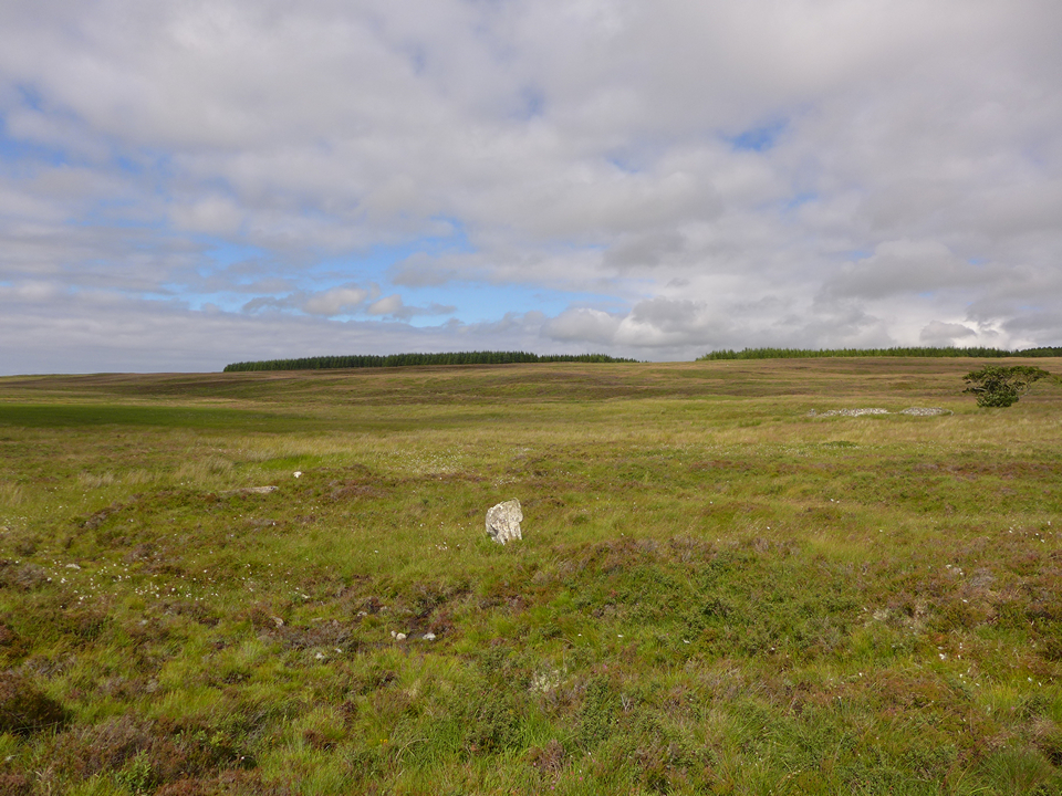 Image of Aultan Broubster (Stone Circle) by thelonious