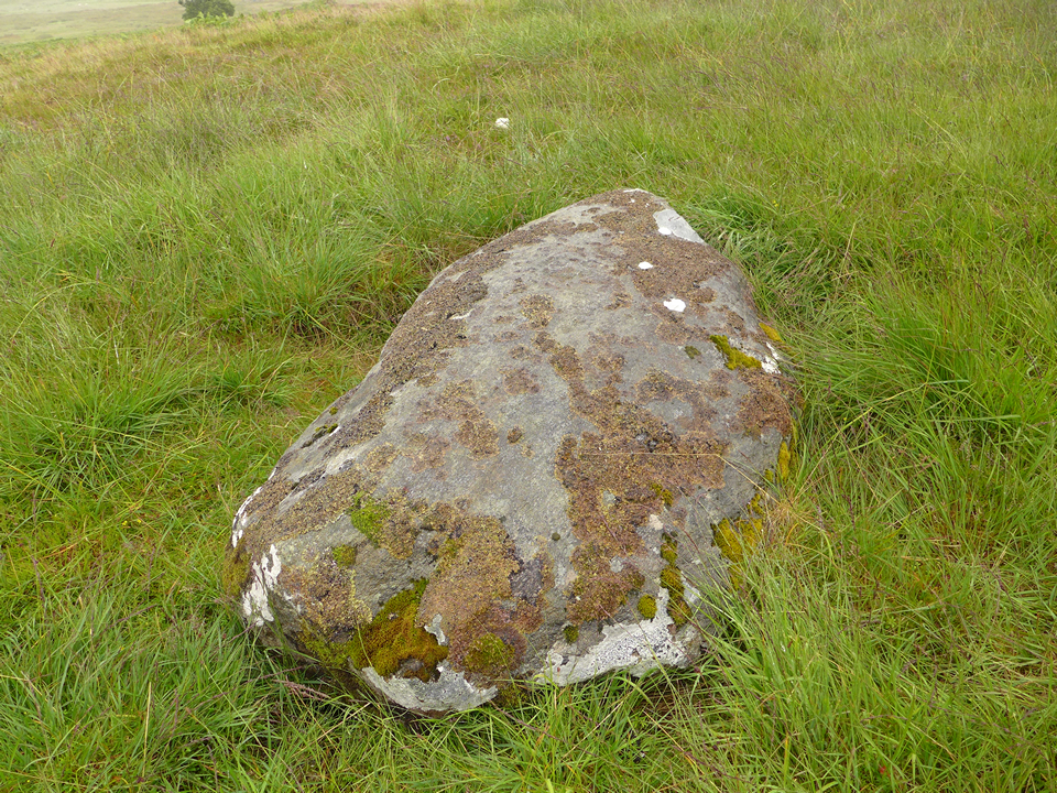 Image of Learable Hill (Cup and Ring Marks / Rock Art) by thelonious