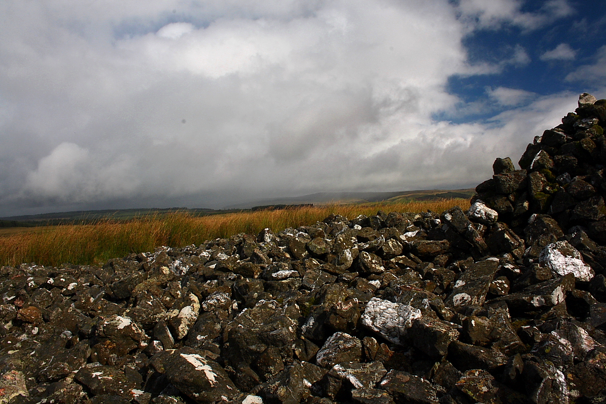Image of Esgair Garn, Llanddewi Abergwesyn (Round Cairn) by GLADMAN