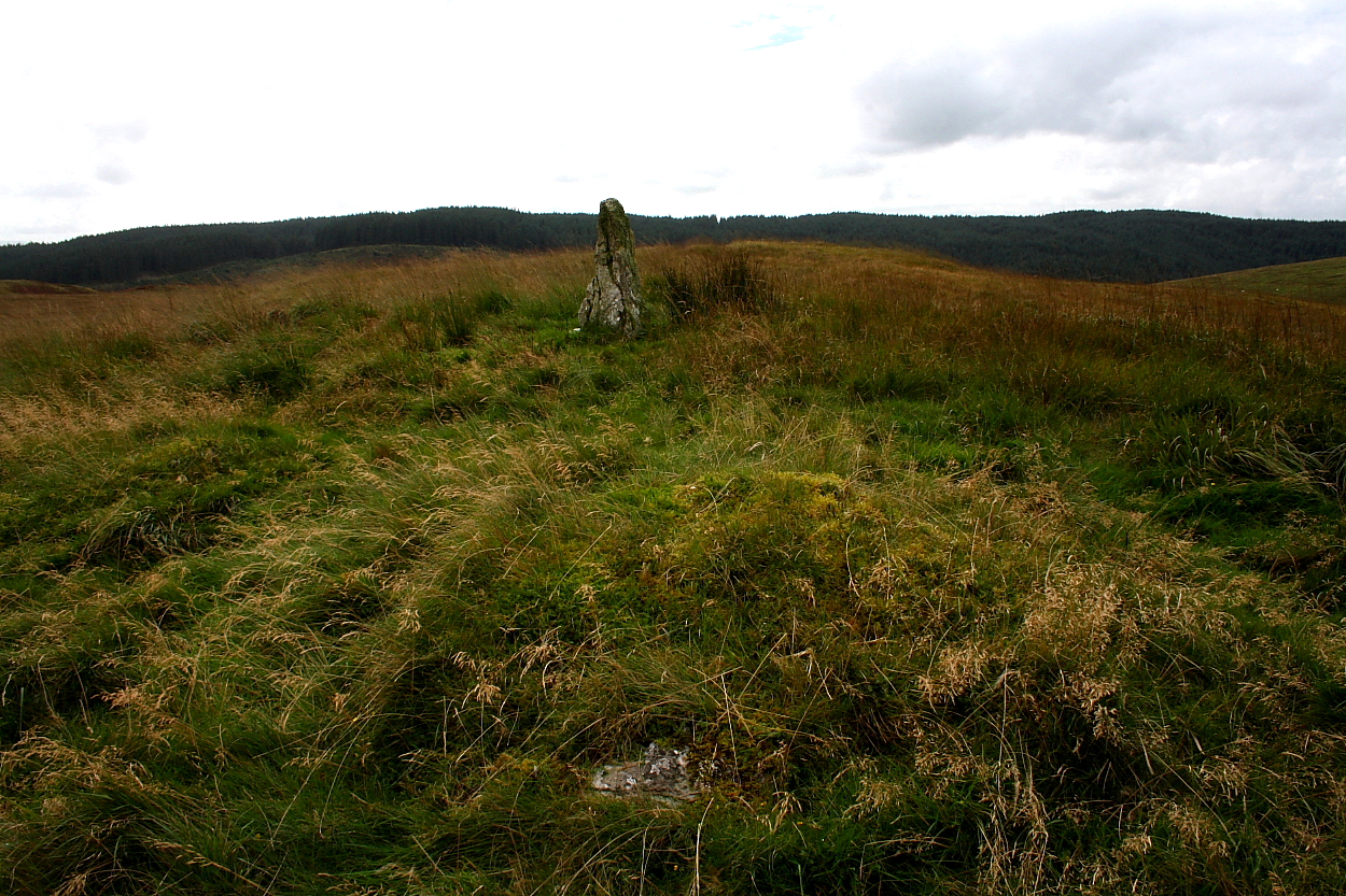 Image of Cnwch Eithinog (Cairn(s)) by GLADMAN