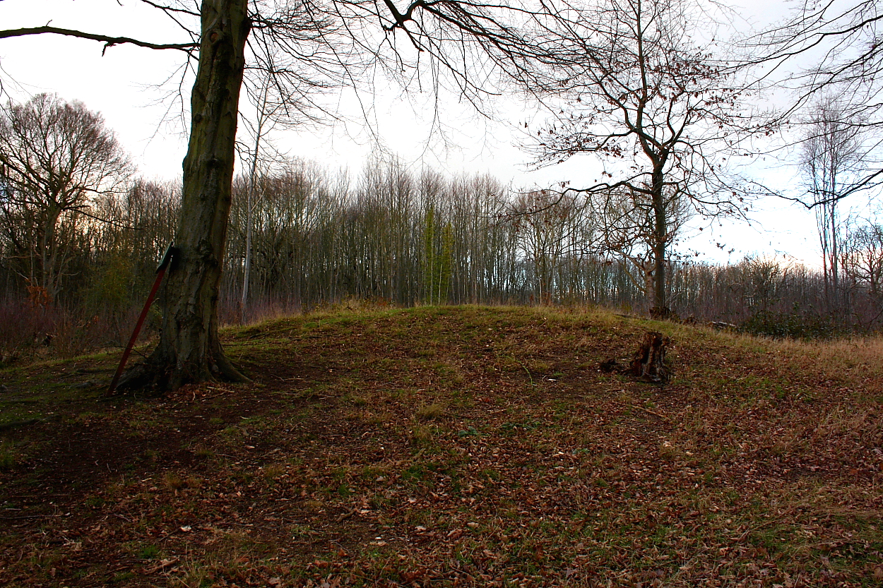 Image of Norsey Wood (Round Barrow(s)) by GLADMAN
