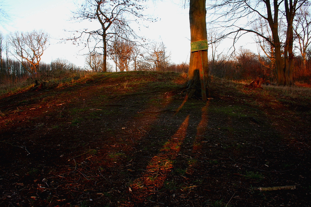 Image of Norsey Wood (Round Barrow(s)) by GLADMAN