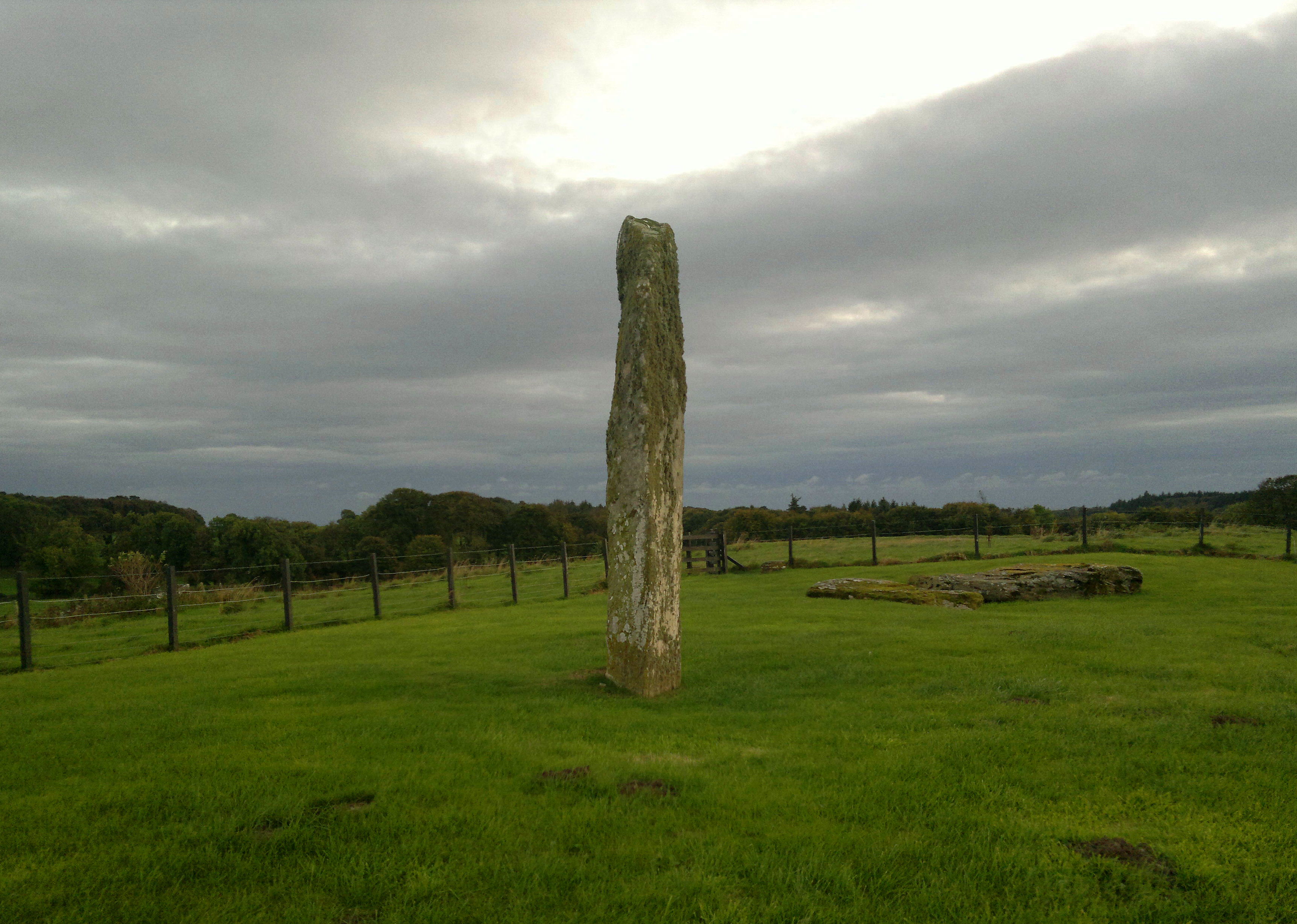 Image of Drumtroddan Standing Stones by spencer