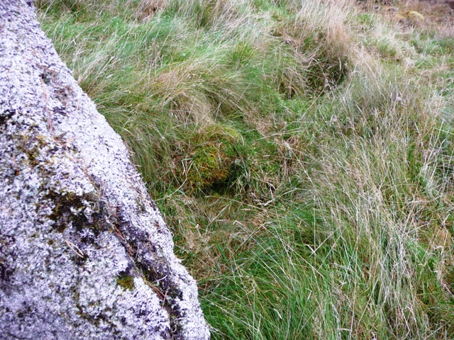 Image of Tomfat Plantation (Chambered Cairn) by drewbhoy