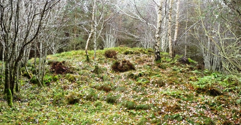 Image of Woods Of Cairnie 4 (Cairn(s)) by drewbhoy