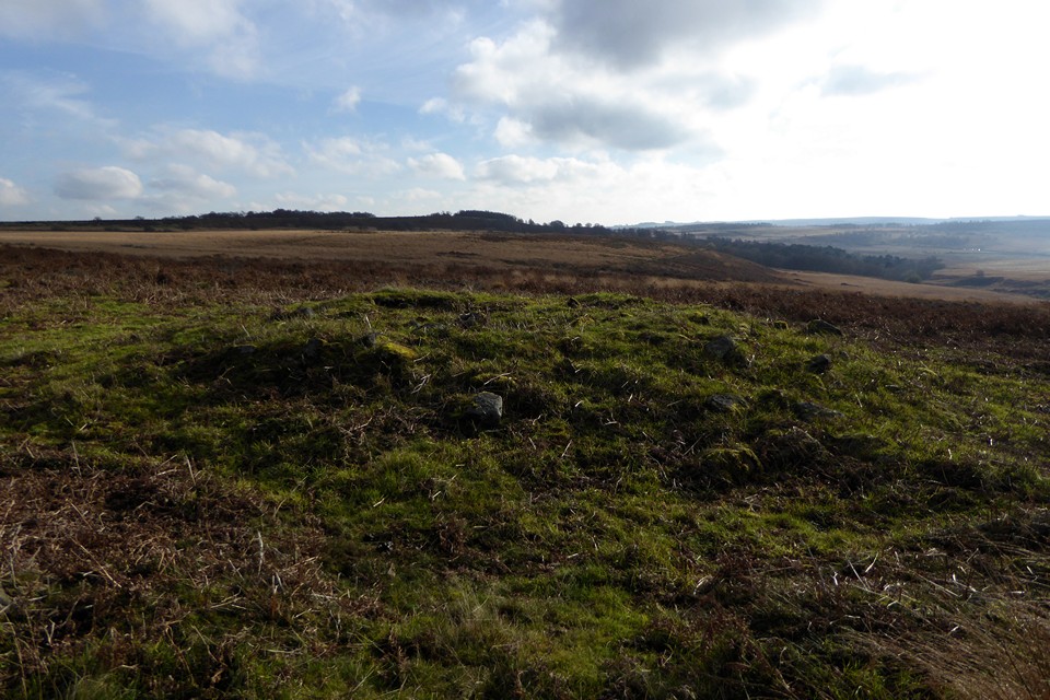 Image of Barbrook cairns (Barrow / Cairn Cemetery) by thesweetcheat