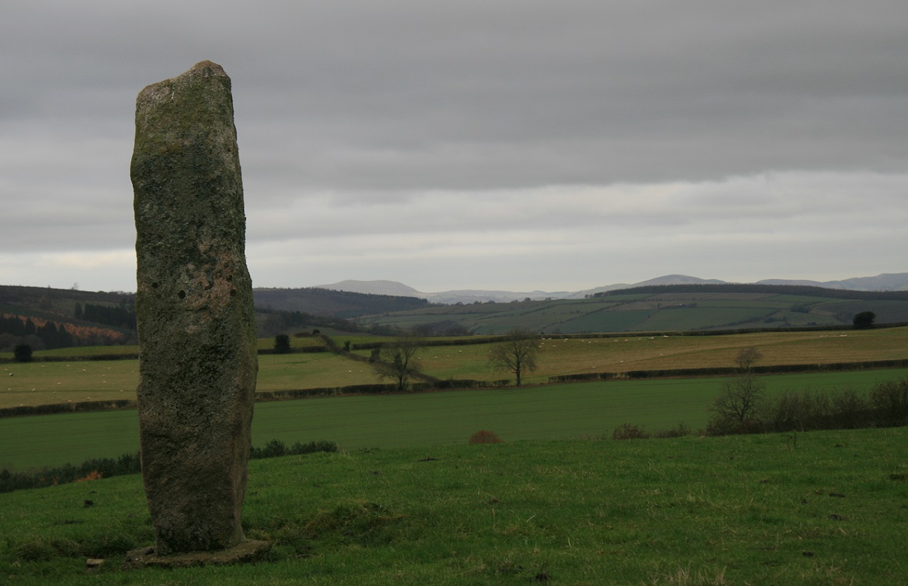 Image of Great Hagley (Standing Stone / Menhir) by postman