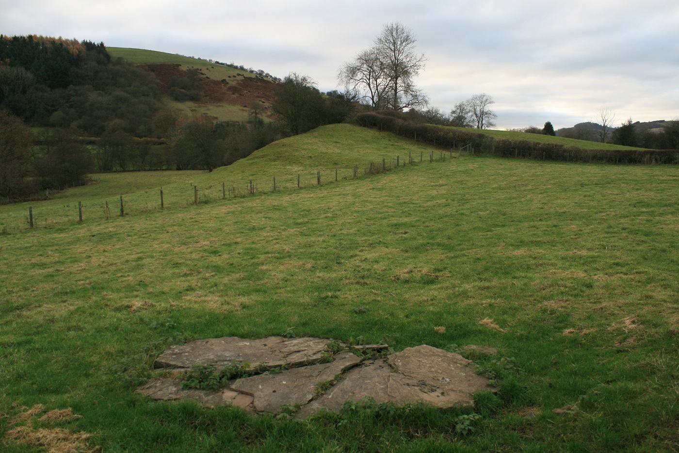Image of Whitcott Keysett (Standing Stone / Menhir) by postman