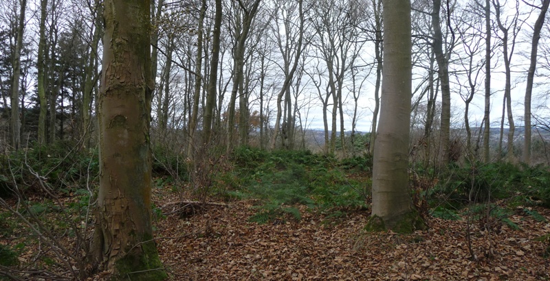 Image of Parknook (Cairn(s)) by drewbhoy