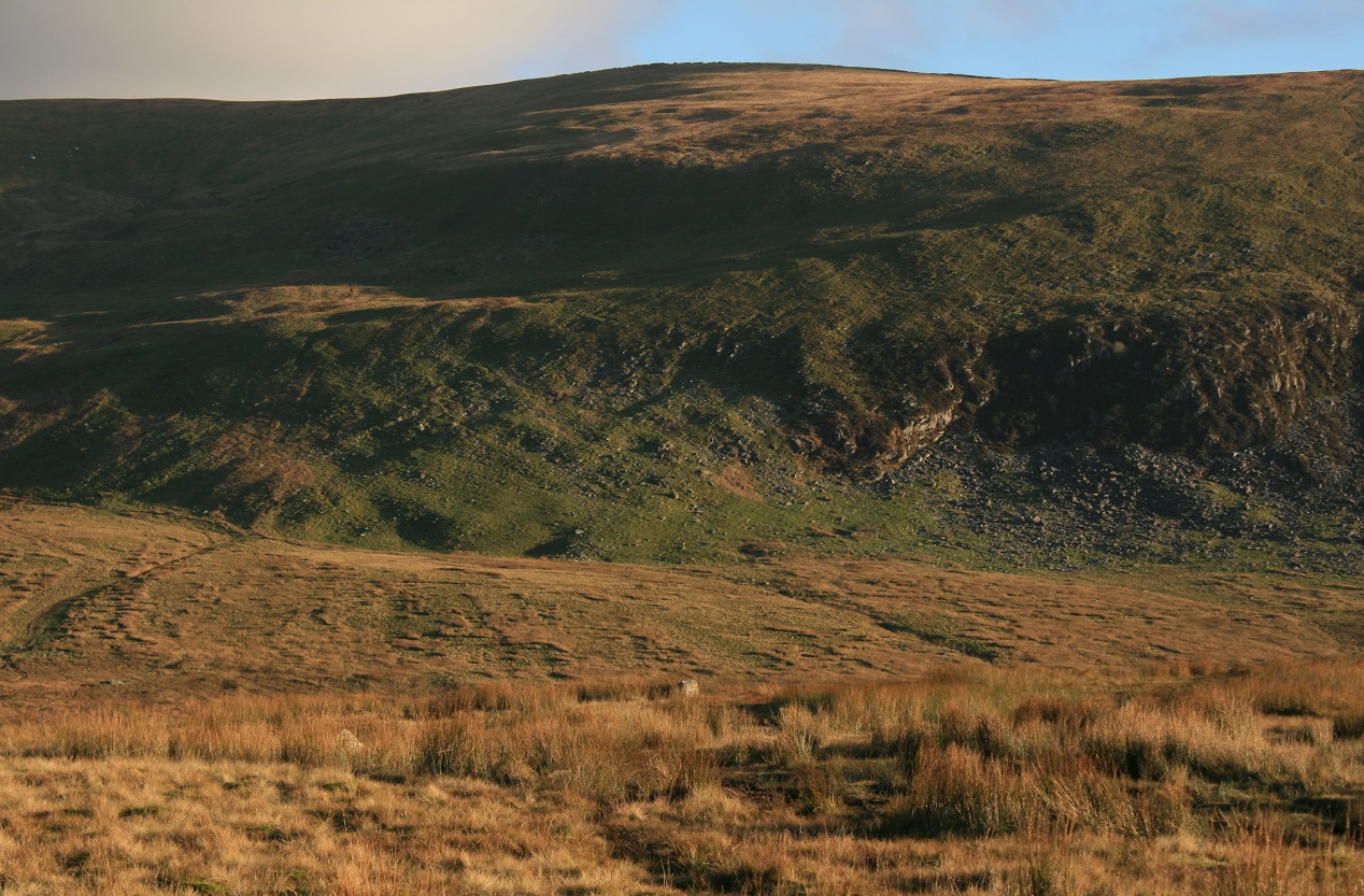 Image of Pont Scethin standing stones by postman