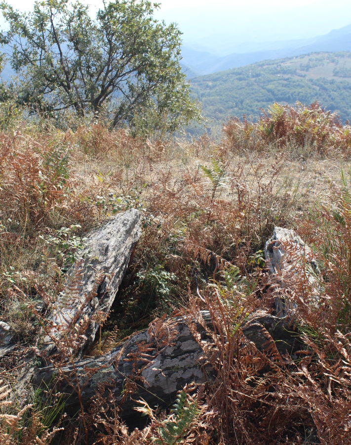 Image of Dolmen Serrat de les Fonts (2) by tiompan