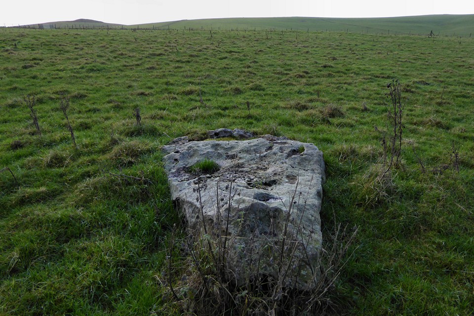 Image of Knap Cottage Stone (Standing Stone / Menhir) by thesweetcheat