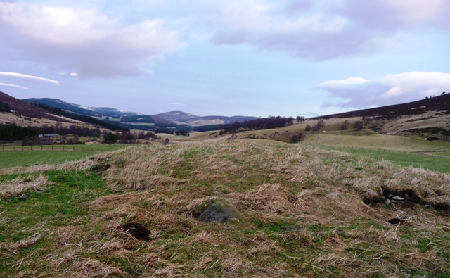 Image of Lochans (Kerbed Cairn) by drewbhoy