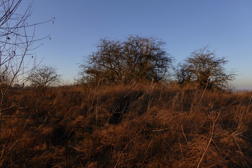 Image of Cow Common (Barrow / Cairn Cemetery) by thesweetcheat