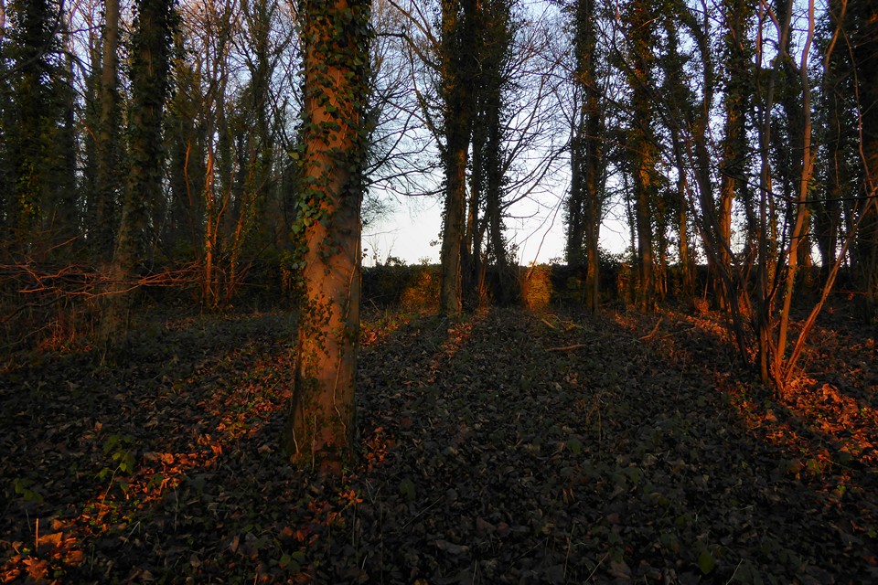 Image of Swell Hill Farm (Round Barrow(s)) by thesweetcheat