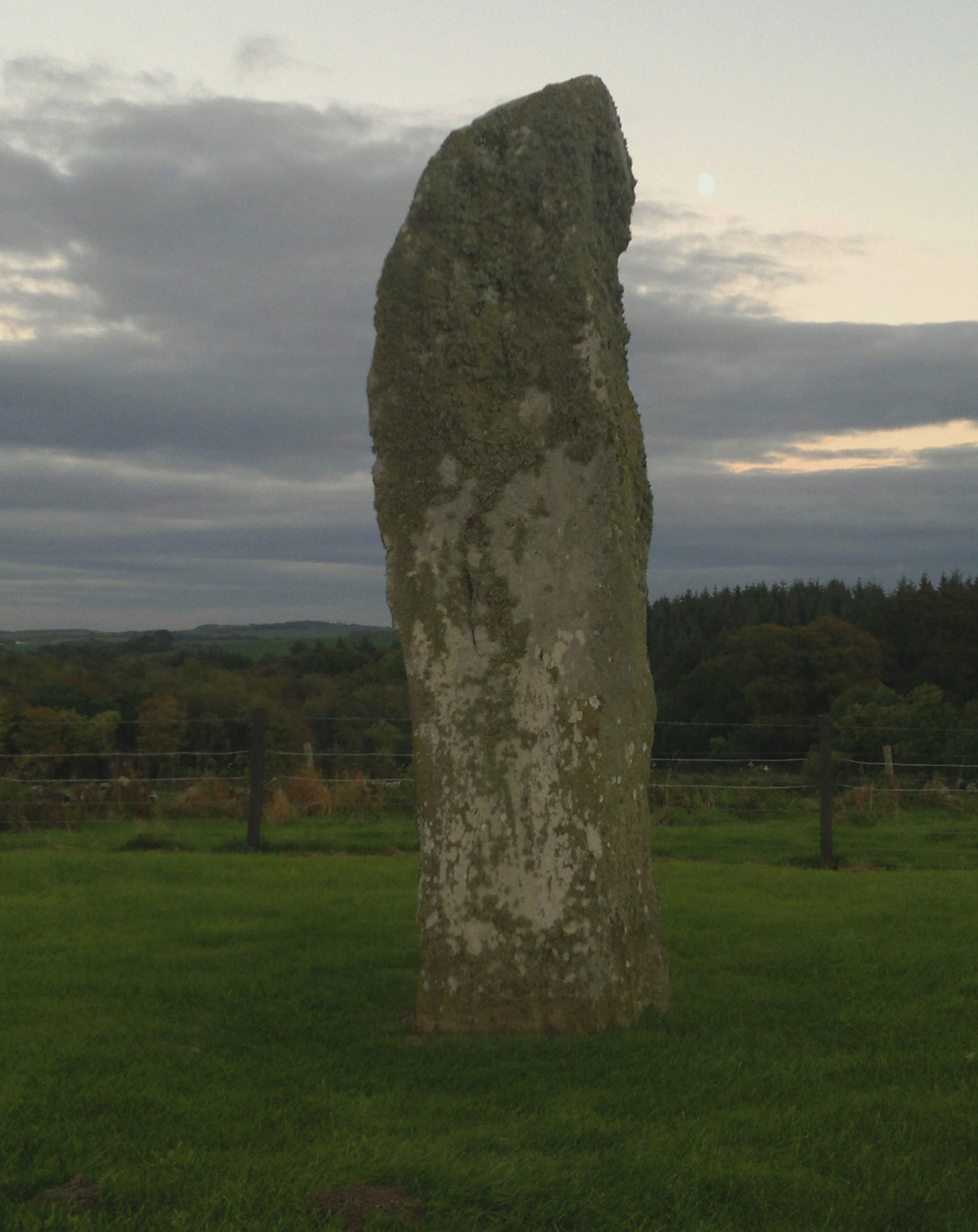 Image of Drumtroddan Standing Stones by spencer