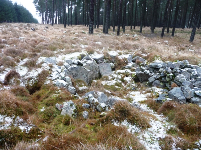 Image of Sundayswells Hill (Chambered Cairn) by drewbhoy