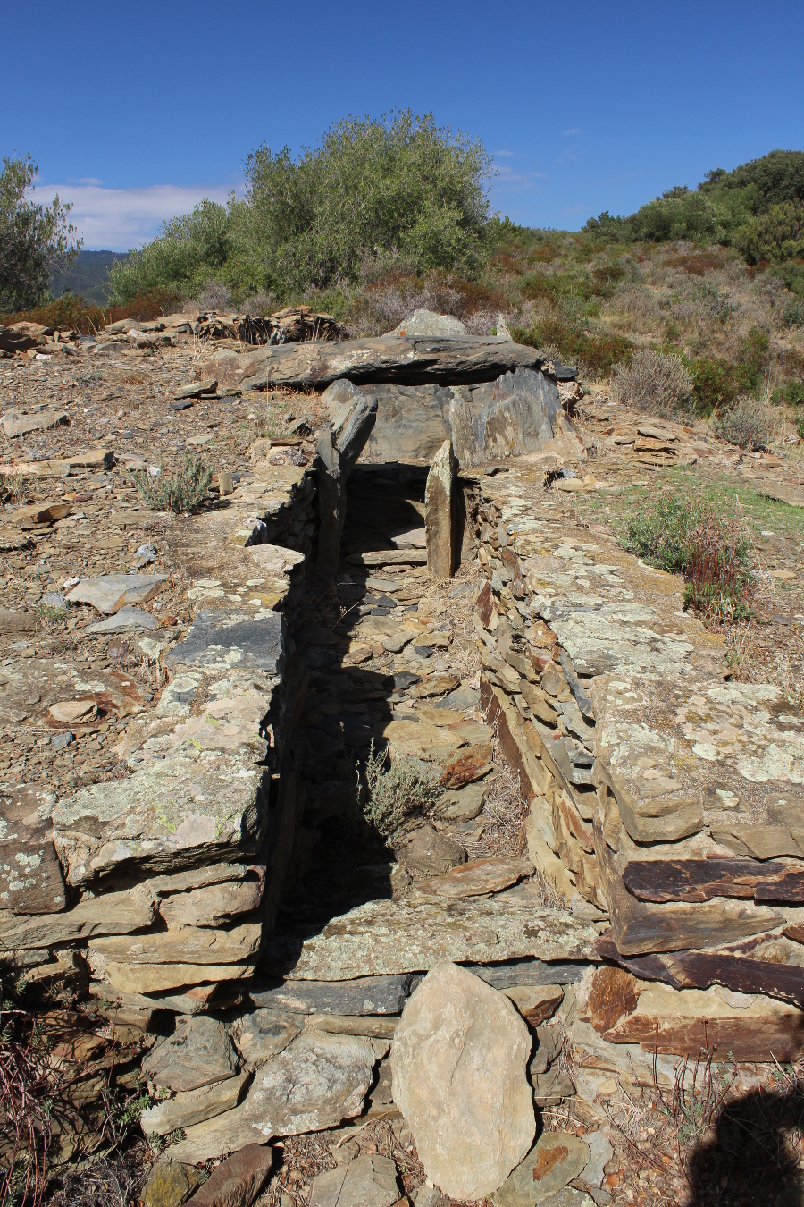 Image of Dolmen del barranc d’Espolla by tiompan