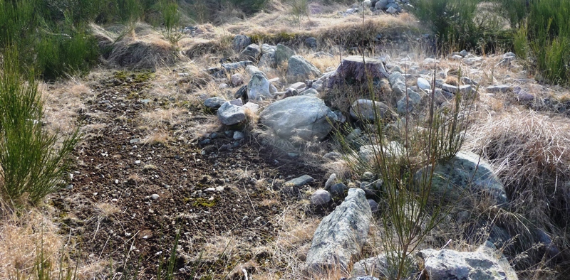 Image of Blackhills (Stone Circle) by drewbhoy