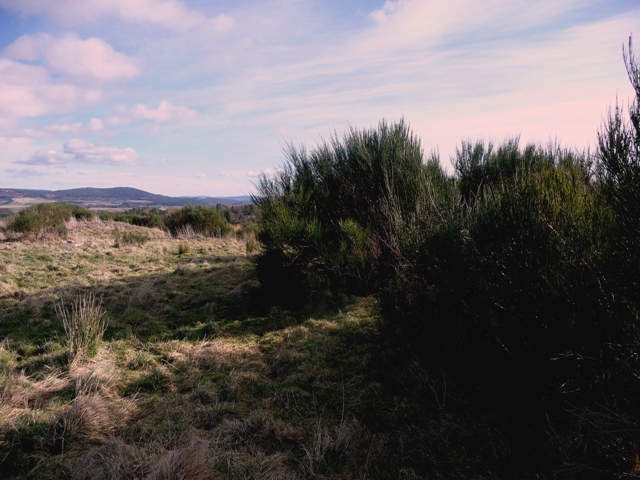 Image of Knock Hill (South) (Cairn(s)) by drewbhoy