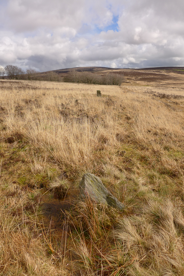 Image of Almsworthy Stone Circle (Stone Setting) by thelonious