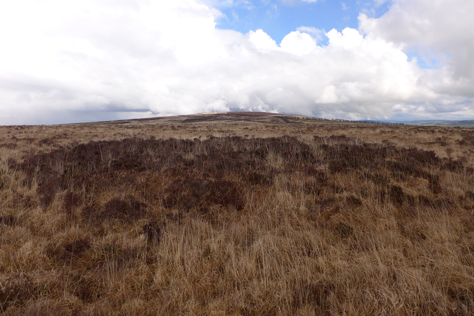 Image of Bendels Barrows (Round Barrow(s)) by thelonious