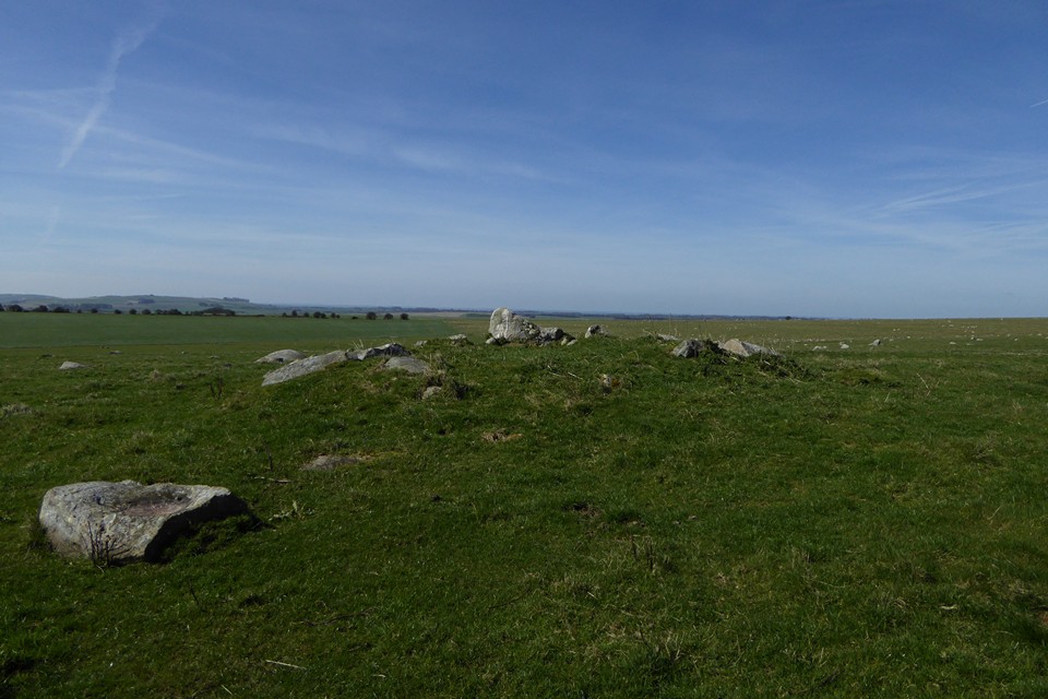 Image of Overton Down (Round Barrow(s)) by thesweetcheat
