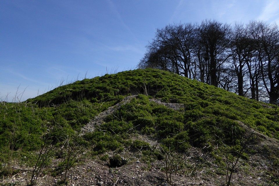Image of Avebury Down (Round Barrow(s)) by thesweetcheat