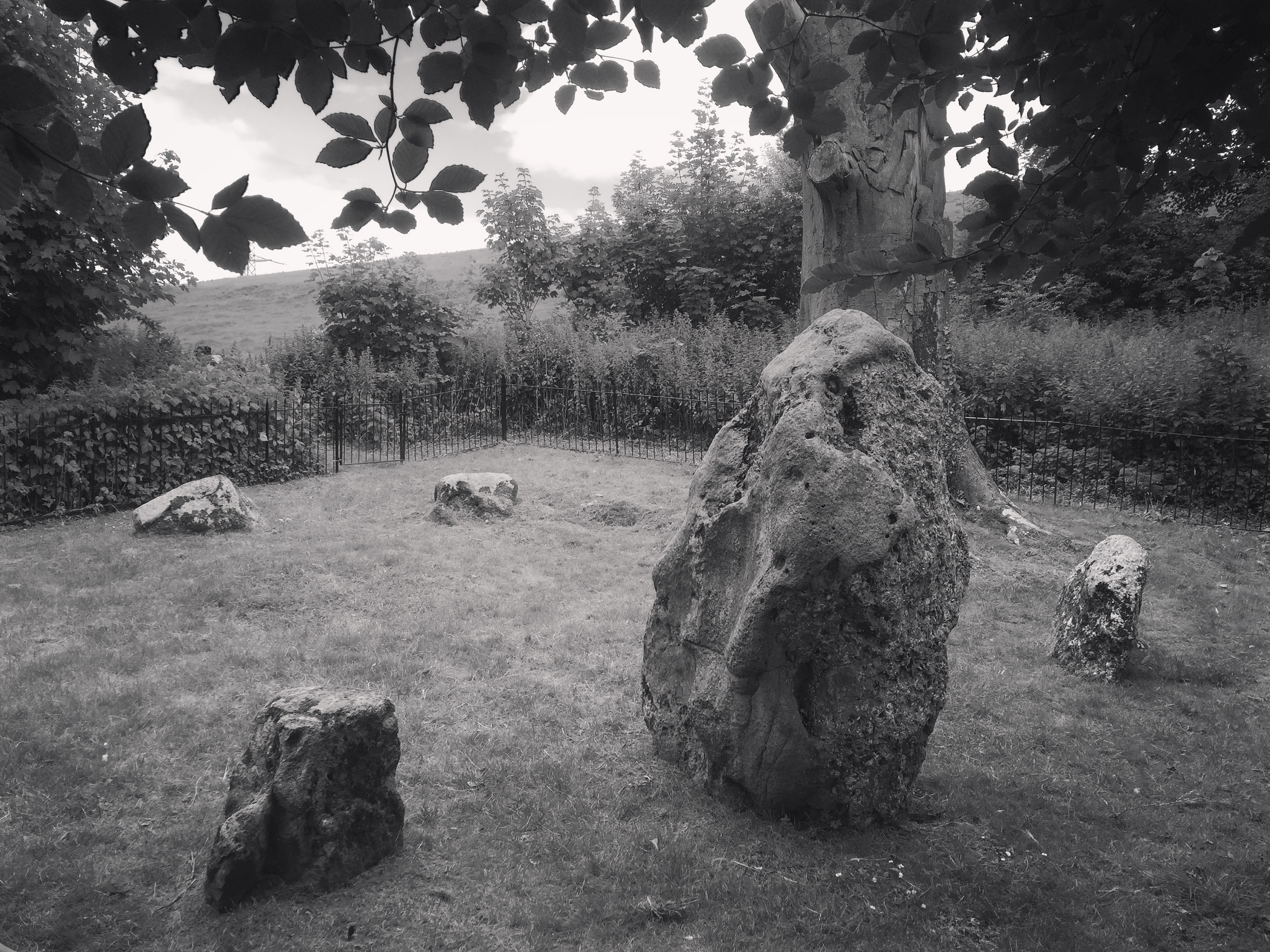 Image of The Nine Stones of Winterbourne Abbas (Stone Circle) by texlahoma