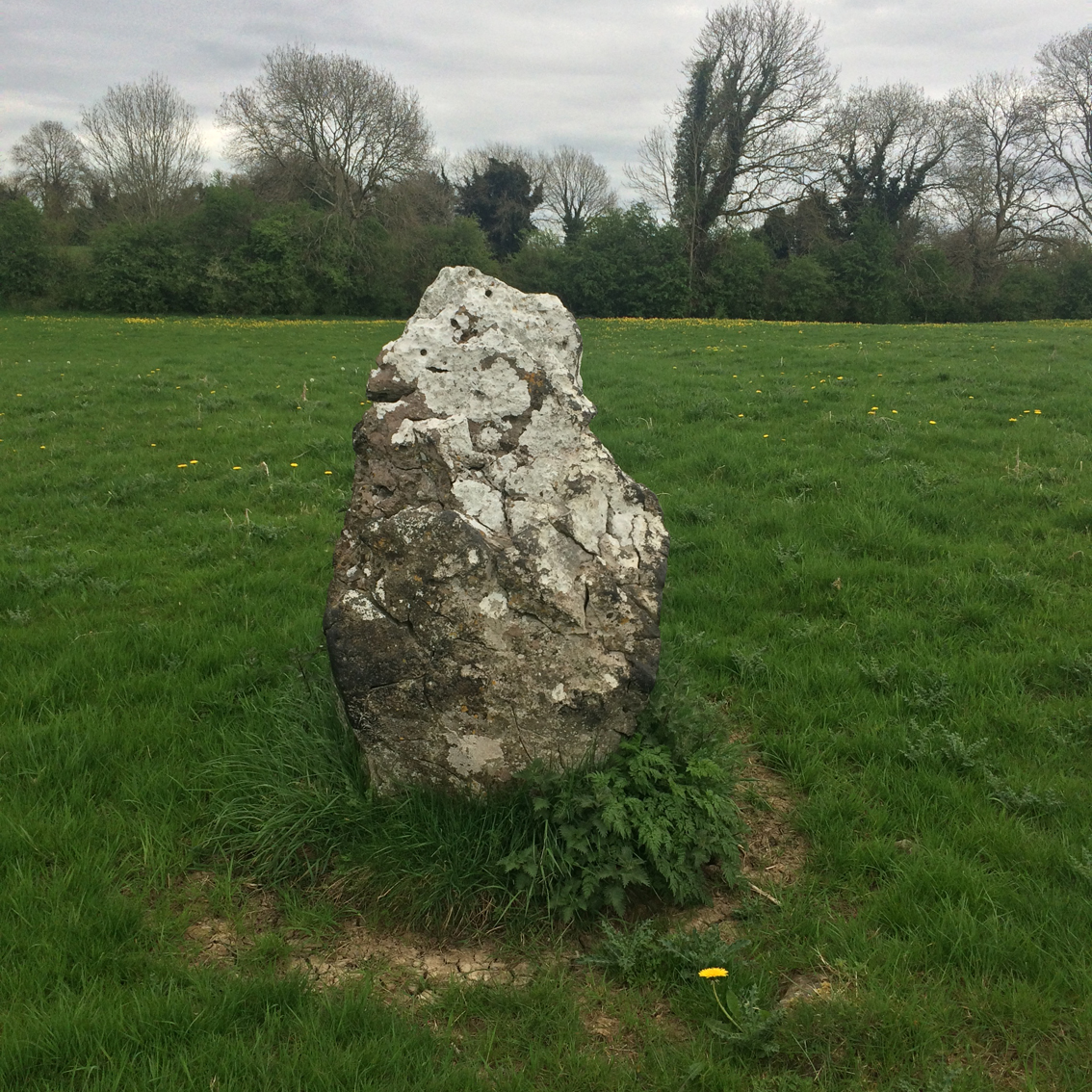 Image of Cloongowna (Standing Stone / Menhir) by ryaner