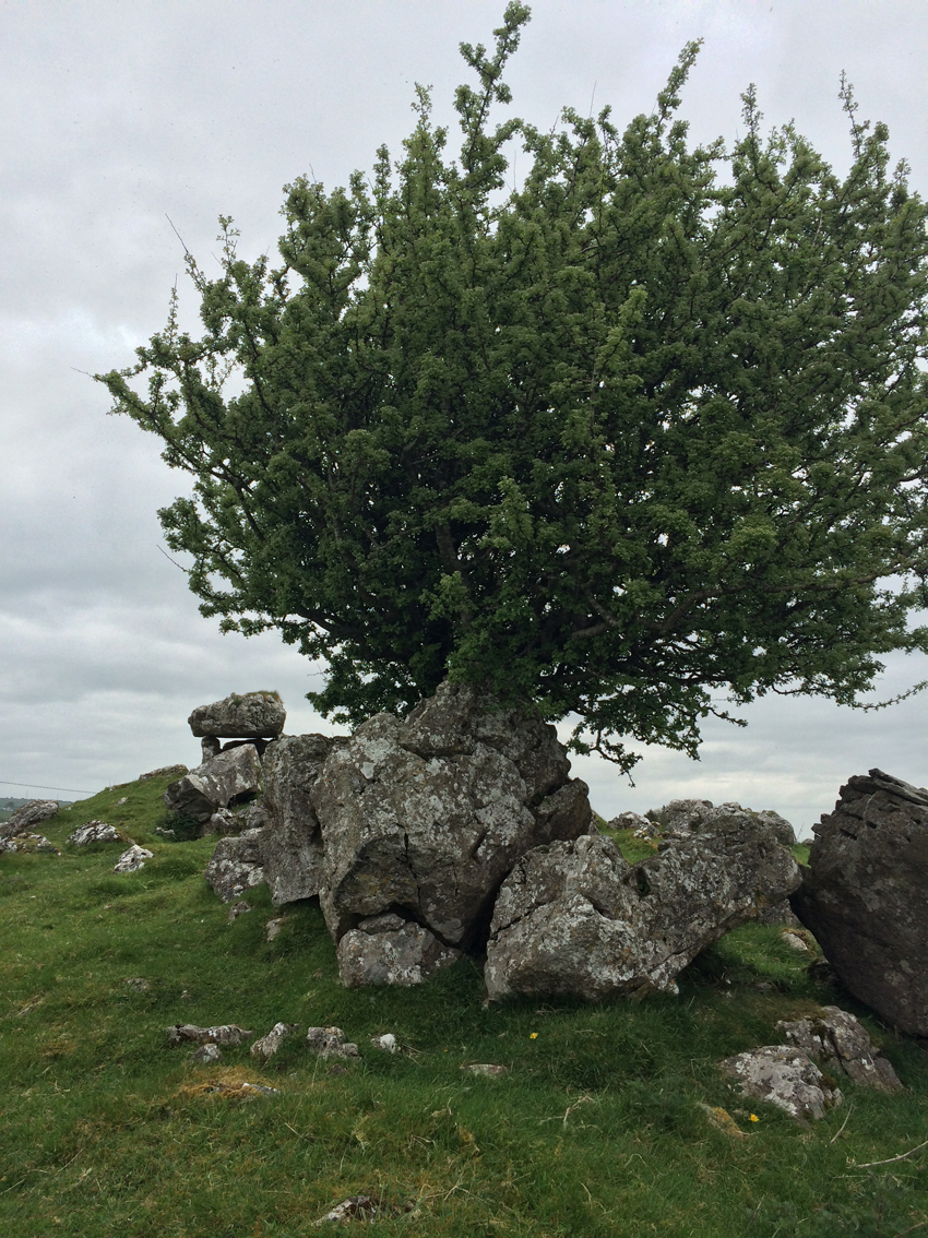 Image of Skregg (Passage Grave) by ryaner