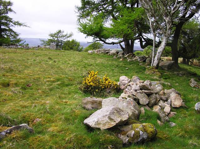 Image of Hill of Keir (Enclosure) by drewbhoy