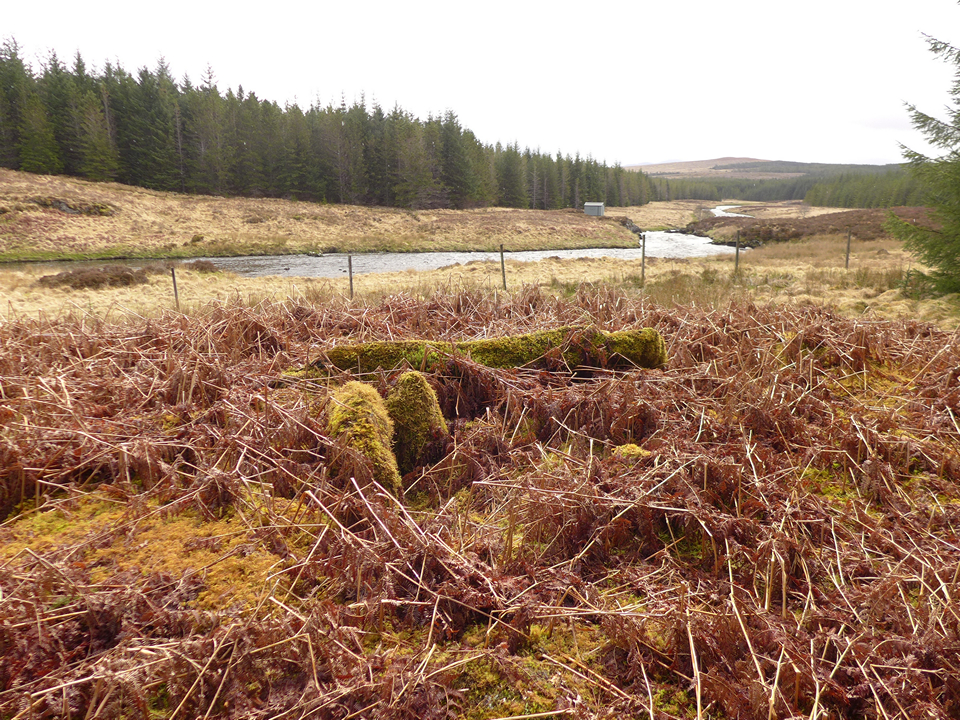 Image of Garbh Ath Chaoruinn (Chambered Cairn) by thelonious