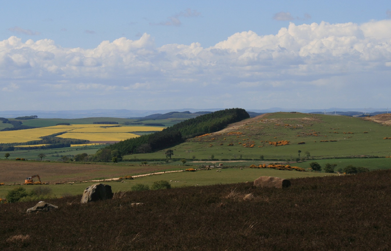 Image of Whinny Hill (Stone Circle) by postman
